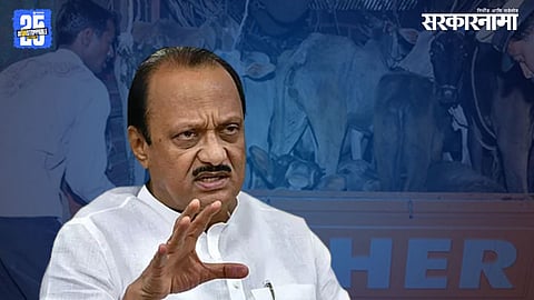 Ajit Pawar On Gorakshak