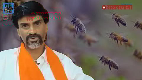 Beehive Attack On Manoj Jarange Patils Meeting In Antarwali Sarti News