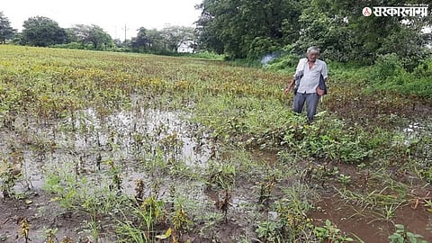  flood damage inspection 
