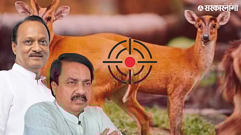 Raigad Crime