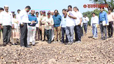 Central Squad Visit Affected Farm In Beed District News