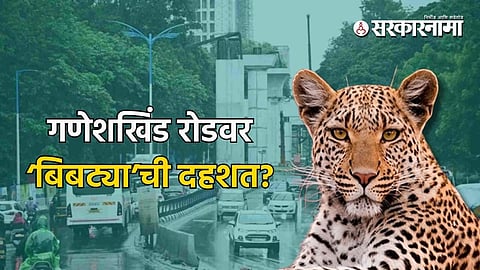 Leopard in Pune : पुण्यात बिबट्याची नुसती बातमी अन् पोलिसांची उडाली भंबेरी! गणेशखिंड रोडवर काय घडलं?