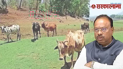 Revenue Minister Chandrashekhar Bawankule