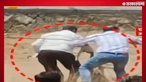 MLA Chandrakant Patil seen hitting a leopard with a stick in a viral video that has sparked controversy.