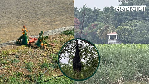 Ajit Pawar Accident Mystery | Amol Mitkari Claims