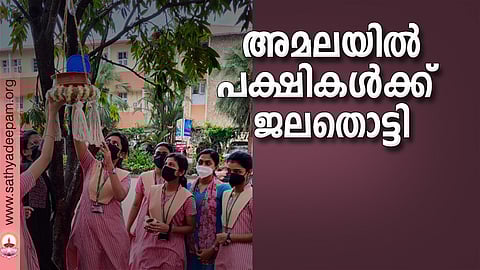 അമലയില്‍ പക്ഷികള്‍ക്ക് ജലതൊട്ടി