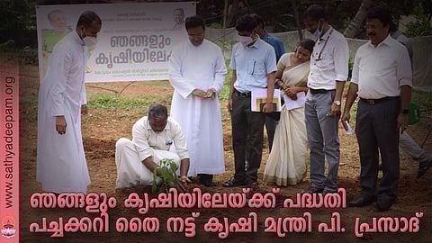 ഞങ്ങളും കൃഷിയിലേയ്ക്ക് പദ്ധതിയുടെ പ്രചരണാര്‍ത്ഥം കൃഷി വകുപ്പ് മന്ത്രി പി. പ്രസാദ് തെള്ളകം ചൈതന്യ അങ്കണത്തില്‍ പച്ചക്കറി തൈ നടുന്നു.