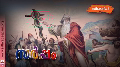 സര്‍പ്പം