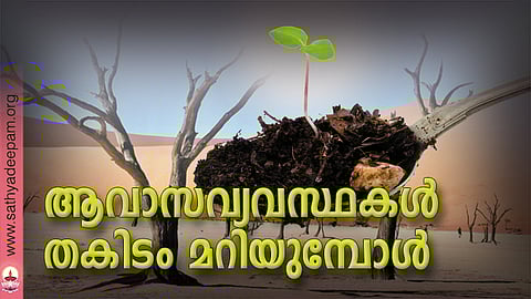 ആവാസവ്യവസ്ഥകള്‍ തകിടം മറിയുമ്പോള്‍