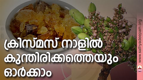 ക്രിസ്മസ് നാളില്‍ കുന്തിരിക്കത്തെയും ഓര്‍ക്കാം