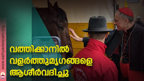 വത്തിക്കാനില്‍ വളര്‍ത്തുമൃഗങ്ങളെ ആശീര്‍വദിച്ചു