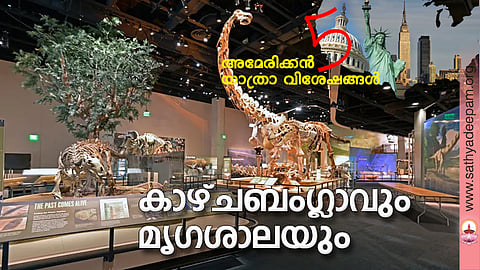 കാഴ്ചബംഗ്ലാവും മൃഗശാലയും