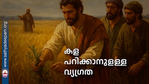 കള പറിക്കാനുള്ള വ്യഗ്രത