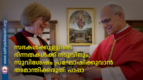 സഭകള്‍ക്കുള്ളിലെ ഭിന്നതകള്‍ക്ക് നടുവിലും,  സുവിശേഷം  പ്രഘോഷിക്കുവാന്‍ അമാന്തിക്കരുത്: പാപ്പാ