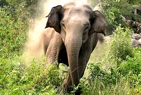 കരിനിയമങ്ങള്‍ പൊളിച്ചെഴുതണം: ഇന്‍ഫാം