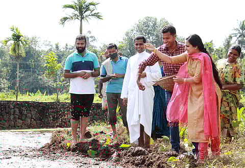 വിവാഹപ്പിറ്റേന്ന് വയലില്‍ ജൈവകൃഷിക്കുള്ള വിത്തുവിതച്ച് നവദമ്പതികള്‍