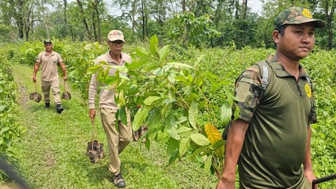 কোকৰাঝাৰ: দখলৰ আশংকাৰ মাজত শিখোৱানা জহ্ৱালাও ৰাষ্ট্ৰীয় উদ্যানত বৃক্ষৰোপণ অভিযান আৰম্ভ 