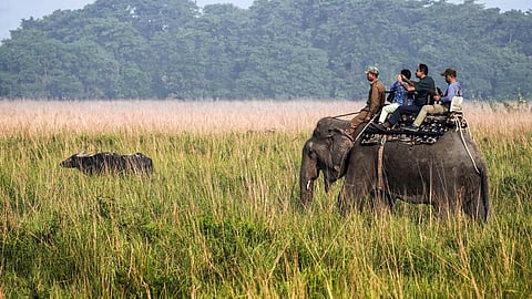 ১ মে’ৰ পৰা বন্ধ ওৰাং ৰাষ্ট্ৰীয় উদ্যান আৰু বাঘ সংৰক্ষিত বনাঞ্চলত জিপ্চি আৰু হাতী ছাফাৰী 
