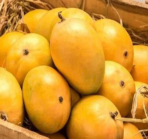 কেলচিয়াম কাৰ্বাইডেৰে পকোৱা আম খোৱাৰ পৰা সাৱধান! কৃত্ৰিমভাৱে পকোৱা আমে বজাৰ ভৰিছে