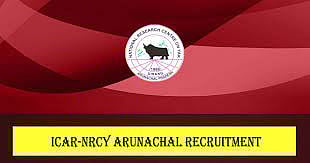 National Research Centre on Yak (NRCY) Dirang Recruitment 2024- Young Professional-II Vacancy, Job Opening