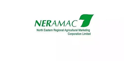 Jobs in Guwahati: NERAMAC Recruitment 2024 - Project Executive Vacancy, Job Openings