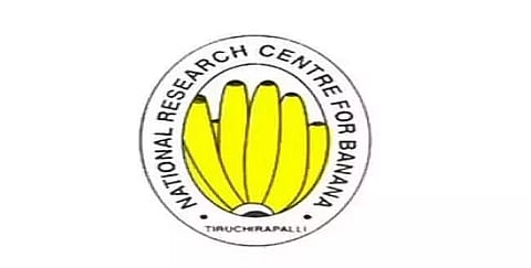 NRCB Recruitment 2024 - Senior Project Assistant Vacancy, Job Openings