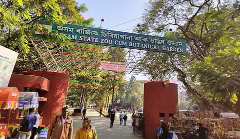 Guwahati: State zoo-cum-Botanical Garden recovering from Corona jolt