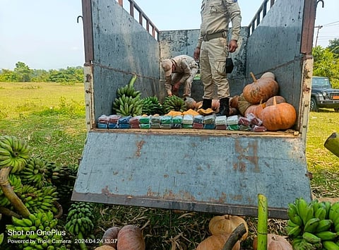 Manipur: Brown Sugar Concealed Inside Pumpkins Seized in Pherzawl District