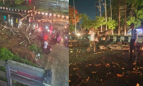 A giant tree collapses in Guwahati’s VIP Road injuring a biker