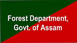 Assam: Trader ‘harassed’ by forest official at Mayong