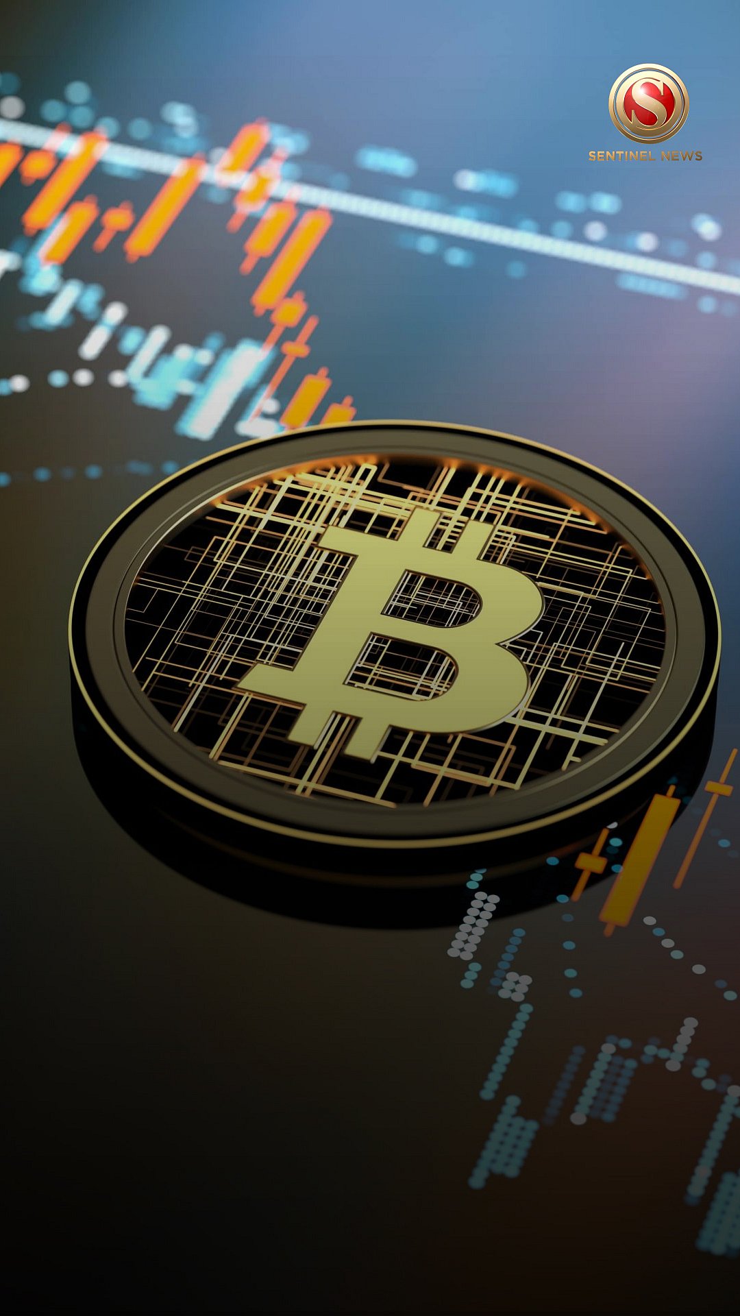 India Leads Global Crypto Adoption for the Second Year in a Row, Report  Reveals