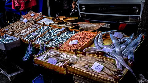 India’s seafood