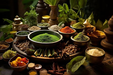 Exotic Culinary Delights