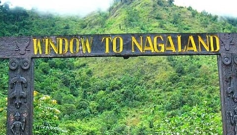 Nagaland Govt 