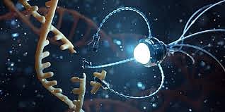 Nanotechnology for Infectious Disease Control