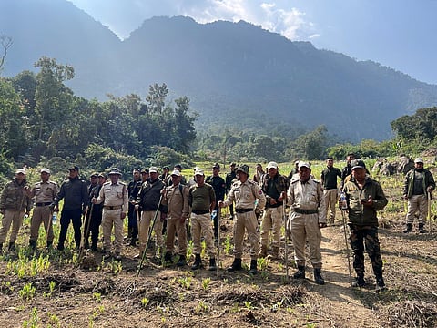 Manipur: 4.8 Hectares of Illicit Poppy Fields Destroyed in Senapati