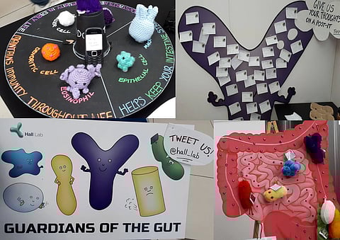Guardians of Gut Health and Immunity