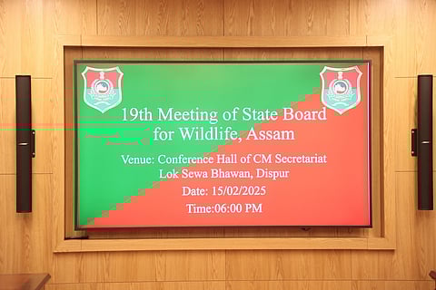 Balancing development 