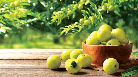 Amla