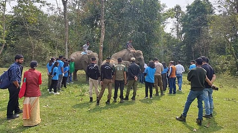 Wildlife orientation programme 