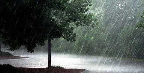  rainfall