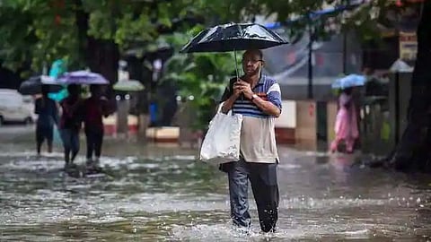rainfall 