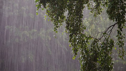 widespread rain