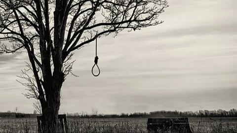 hanging 