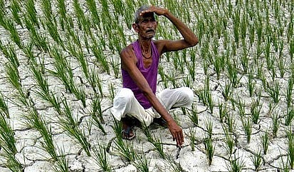 Deficient Monsoon Hits 4 NE States, Meghalaya Records 51% Rainfall Dip