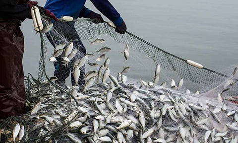 fish farming