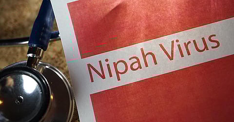  Nipah 