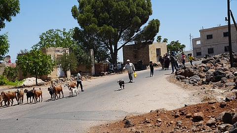 Syria