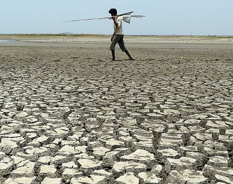 Drought 