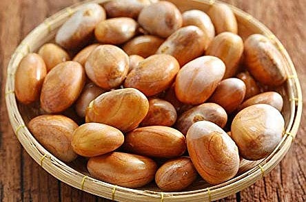 Jackfruit Seeds